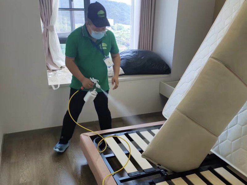 室内除甲醛新趋势:绿色健康与科技并重